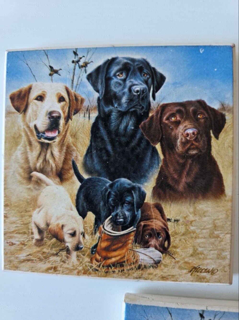 Set of 3 Labrador Retriever Coasters - Yellow, Black, Chocolate - Picture 2 of 5